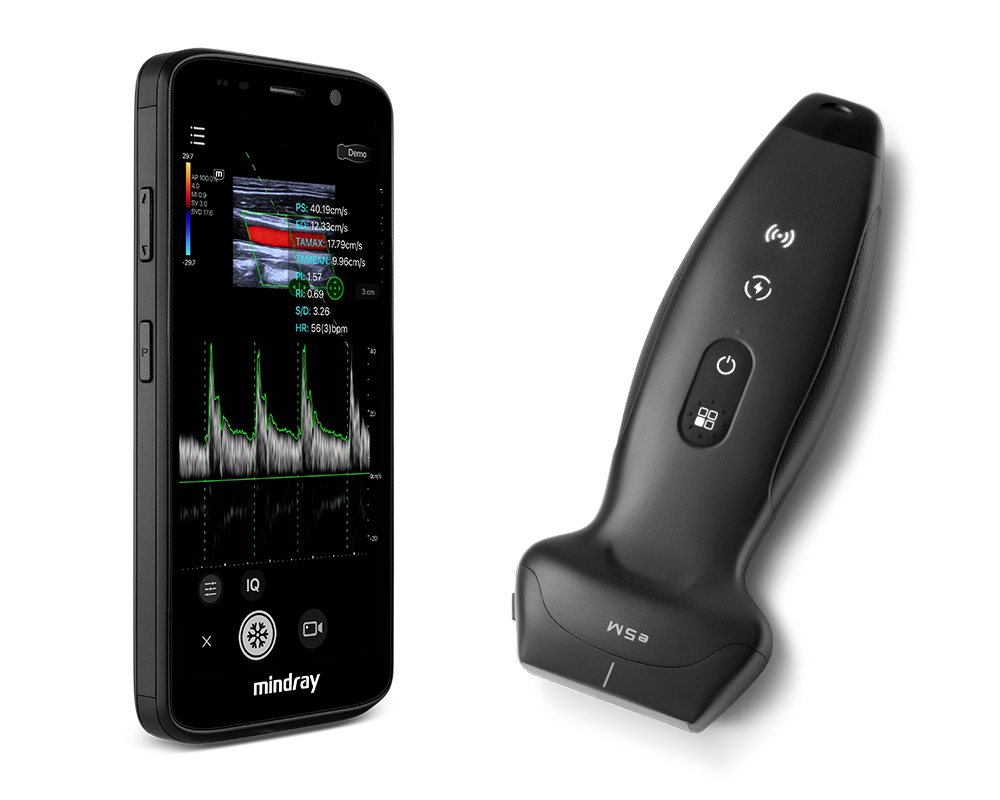 download - 2025-09-14T202448.244